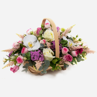 Graceful Beauty
 Product Image