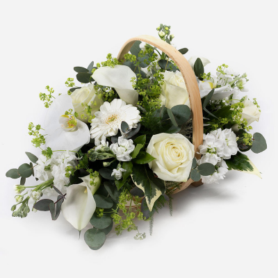 Scented Moonlight 
 Product Image
